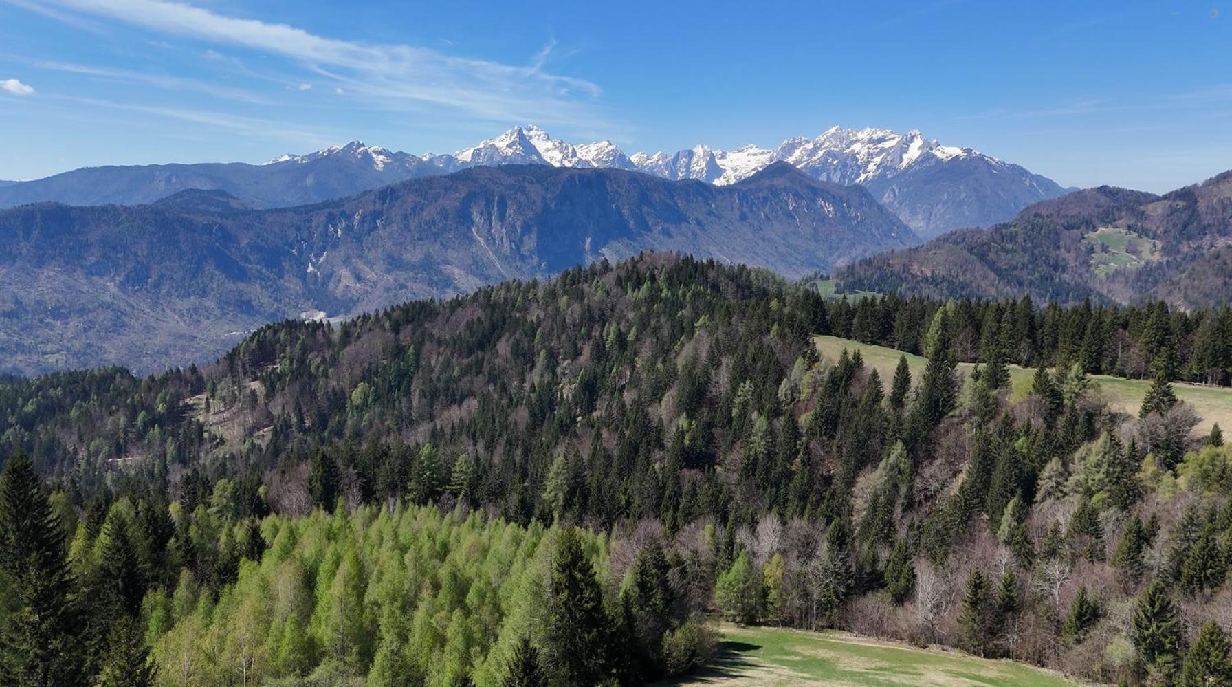 Span Cottage Jesenice Εξωτερικό φωτογραφία